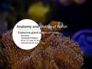 Anatomy and biology of finfish
Endocrine gland system of fishes
Dip Sahoo
TNU2022037100012
B.F.Sc. (1st year 2nd Sem)
Submitted to Dr. Suman Takar
 