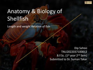 Anatomy & Biology of
Shellfish
Dip Sahoo
TNU2022037100012
B.F.Sc. (1st year 2nd Sem)
Submitted to Dr. Suman Takar
Length and weight Relation of fish
 