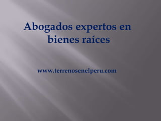 Abogados expertos en
    bienes raíces

  www.terrenosenelperu.com
 
