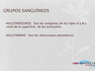 11	
  
• AGLUTINÓGENOS: Son los antígenos de los tipos A y B a
nivel de la superficie de los eritrocitos.	
  
• AGLUTININAS: Son los anticuerpos plasmáticos.
GRUPOS	
  SANGUÍNEOS	
  
 