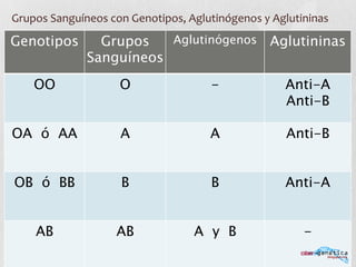 17	
  
Genotipos Grupos
Sanguíneos
Aglutinógenos Aglutininas
OO O - Anti-A	
  
Anti-B
OA ó AA A A Anti-B
OB ó BB B B Anti-A
AB AB A y B -
Grupos	
  Sanguíneos	
  con	
  Genotipos,	
  Aglutinógenos	
  y	
  Aglutininas	
  
 