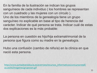 33	
  
En la familia de la ilustración se indican los grupos
sanguíneos de cada individuo ( los hombres se representan
con un cuadrado y las mujeres con un círculo ).
Uno de los miembros de la genealogía tiene un grupo
sanguíneo no explicable en base al tipo de herencia del
carácter. Indicar de qué persona se trata. Indicar cuál de estas
dos explicaciones es la más probable:
La persona en cuestión es hijo/hija extramatrimonial de la
persona que figura como su madre en la genealogía.
Hubo una confusión (cambio de niño/a) en la clínica en que
nació esta persona.
http://www.juntadeandalucia.es/averroes/recursos_informaticos/concurso1998/
accesit6/imagenes/gruposan.gif	
  
 