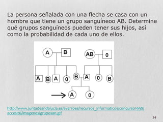34	
  
La persona señalada con una flecha se casa con un
hombre que tiene un grupo sanguíneoo AB. Determine
qué grupos sanguíneos pueden tener sus hijos, así
como la probabilidad de cada uno de ellos.
http://www.juntadeandalucia.es/averroes/recursos_informaticos/concurso1998/
accesit6/imagenes/gruposan.gif	
  
 