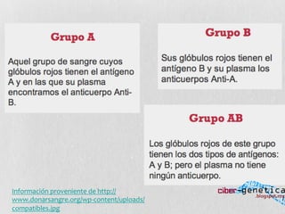 Información	
  proveniente	
  de	
  http://
www.donarsangre.org/wp-­‐content/uploads/
compatibles.jpg	
  
 