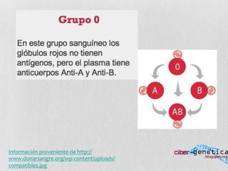 Información	
  proveniente	
  de	
  http://
www.donarsangre.org/wp-­‐content/uploads/
compatibles.jpg	
  
 