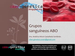  
Dra.	
  América	
  Nitxin	
  Castañeda	
  Sortibrán.	
  
ciber.genetica.unam@gmail.com	
  
Grupos	
  	
  
sanguíneos	
  ABO	
  	
  
 