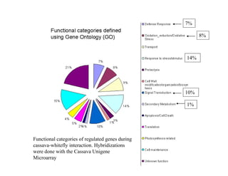 7%

                                                        8%



                                                  14%




                                                  10%

                                                  1%




Functional categories of regulated genes during
cassava-whitefly interaction. Hybridizations
         hi fl i         i       b idi i
were done with the Cassava Unigene
Microarray
 