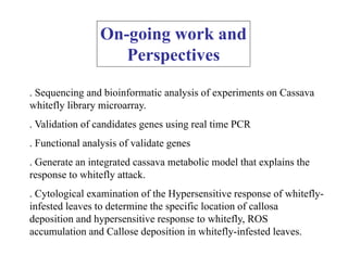 On-going work and
                    Perspectives
                    P       i

. Sequencing and bioinformatic analysis of experiments on Cassava
whitefly library microarray.
. Validation of candidates genes using real time PCR
. Functional analysis of validate genes
. Generate an integrated cassava metabolic model that explains the
response to whitefly attack.
. Cytological examination of the Hypersensitive response of whitefly-
infested leaves to determine the specific location of callosa
deposition and hypersensitive response to whitefly, ROS
                                            whitefly
accumulation and Callose deposition in whitefly-infested leaves.
 