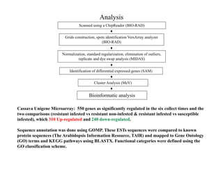 Analysis
                                 Scanned using a ChipReader (BIO-RAD)


                        Grids construction, spots identification VersArray analyzer
                                               (BIO-RAD)


                       Normalization, standard regularization, elimination of outliers,
                       N    li ti      t d d       l i ti       li i ti     f tli
                                replicate and dye swap analysis (MIDAS)


                           Identification of differential expressed genes (SAM)


                                           Cluster Analysis (MeV)


                                        Bioinformatic analysis

Cassava Unigene Microarray: 550 genes as significantly regulated in the six collect times and the
two comparisons (resistant infested vs resistant non-infested & resistant infested vs susceptible
infested), hi h
i f t d) which 310 Up-regulated and 240 down-regulated.
                   U         l t d d        d         l t d

Sequence annotation was done using GOMP. These ESTs sequences were compared to known
protein sequences (The Arabidopsis Information Resource, TAIR) and mapped to Gene Ontology
(GO) tterms and KEGG pathways using BLASTX Functional categories were defined using the
               d          th       i BLASTX. F       ti   l t     i     d fi d i th
GO classification scheme.
 