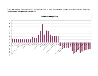 Isolation of genes differentially expressed during the defense response of Cassava (Manihot esculenta Crantz) to whitefly (Aleurotrachelus socialis Bondar) attack