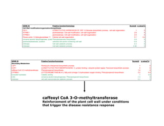 Isolation of genes differentially expressed during the defense response of Cassava (Manihot esculenta Crantz) to whitefly (Aleurotrachelus socialis Bondar) attack