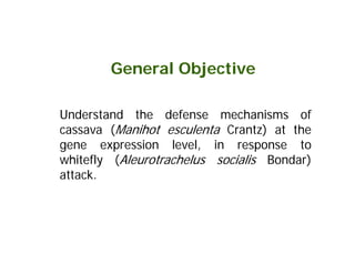Isolation of genes differentially expressed during the defense response of Cassava (Manihot esculenta Crantz) to whitefly (Aleurotrachelus socialis Bondar) attack