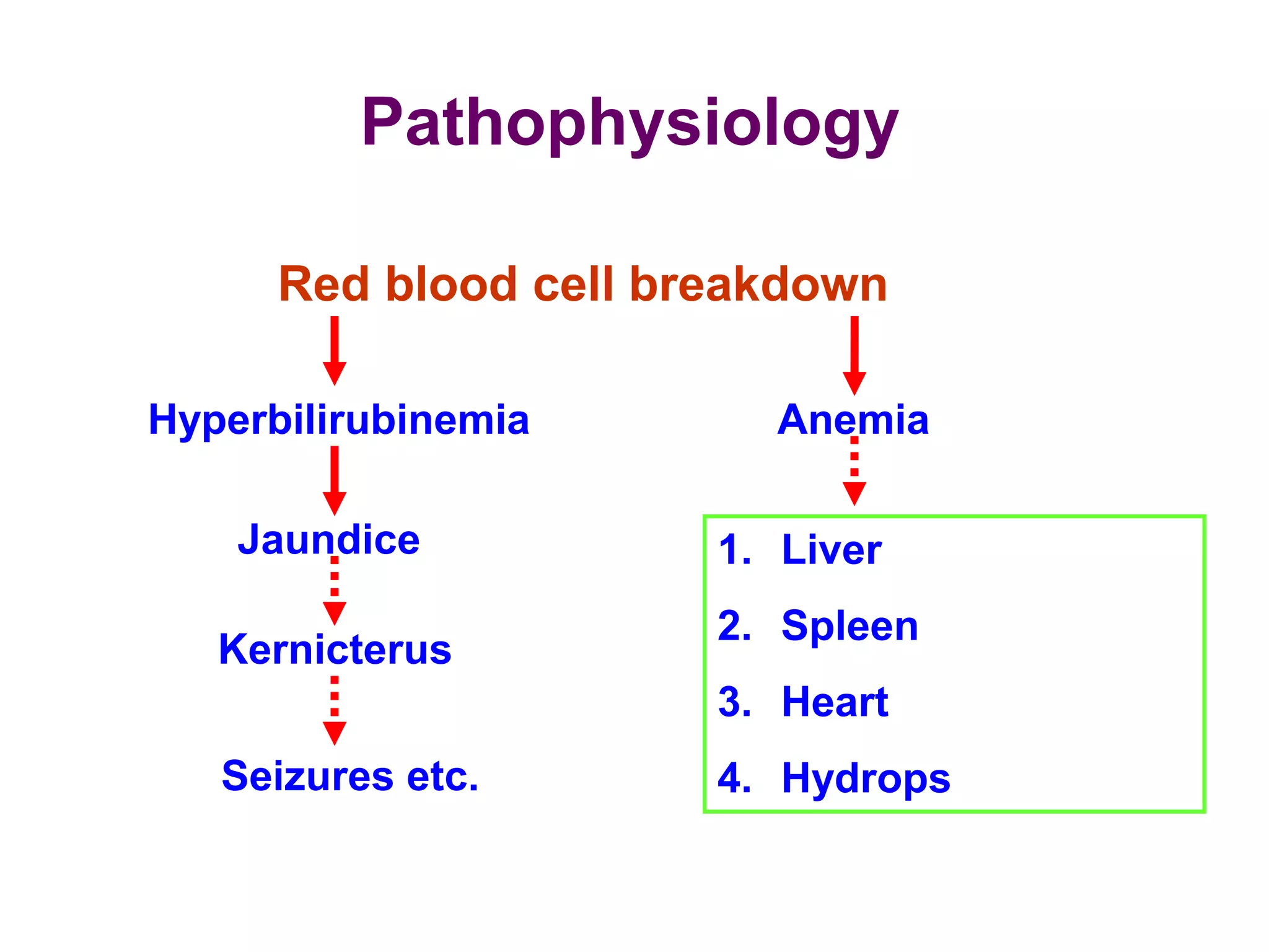 Pathophysiology
Red blood cell breakdown
Hyperbilirubinemia
Jaundice
Kernicterus
Seizures etc.
Anemia
1. Liver
2. Spleen
3. Heart
4. Hydrops
 