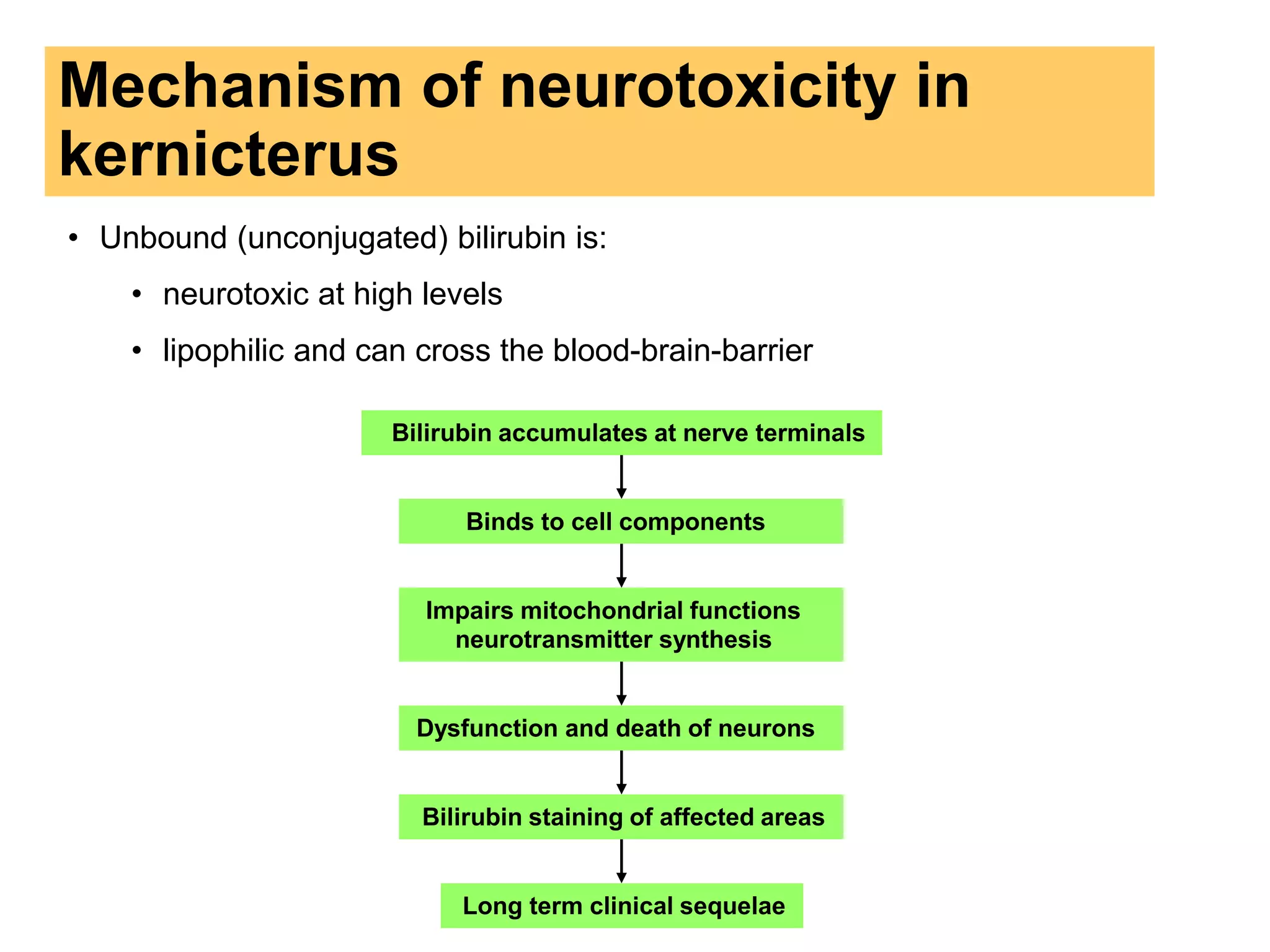 Mechanism of neurotoxicity in
kernicterus
• Unbound (unconjugated) bilirubin is:
• neurotoxic at high levels
• lipophilic and can cross the blood-brain-barrier
Long term clinical sequelae
Bilirubin staining of affected areas
Dysfunction and death of neurons
Impairs mitochondrial functions
neurotransmitter synthesis
Binds to cell components
Bilirubin accumulates at nerve terminals
 