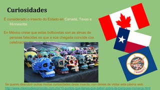 Curiosidades
É considerado o insecto do Estado en Canadá, Texas e
Minnesotta.
En México crese que estas bolboretas son as almas de
persoas falecidas xa que a súa chegada coincide coa
celebración do Día dos Mortos.
Se queres descubrir outras moitas curiosidades deste insecto, non deixes de visitar esta páxina web:
http://www.mexicodesconocido.com.mx/10-puntos-que-tienes-que-saber-sobre-la-mariposa-monarca.html
 
