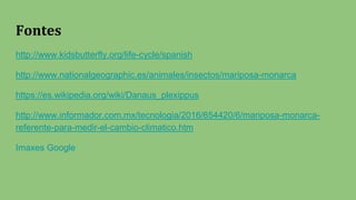 Fontes
http://www.kidsbutterfly.org/life-cycle/spanish
http://www.nationalgeographic.es/animales/insectos/mariposa-monarca
https://es.wikipedia.org/wiki/Danaus_plexippus
http://www.informador.com.mx/tecnologia/2016/654420/6/mariposa-monarca-
referente-para-medir-el-cambio-climatico.htm
Imaxes Google
 