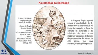 As camélias da liberdade
Apostila – página 52
 