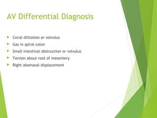 AV Differential Diagnosis
 Cecal dilitation or volvulus
 Gas in spiral colon
 Small intestinal obstruction or volvulus
 Torsion about root of mesentery
 Right abomasal displacement
 