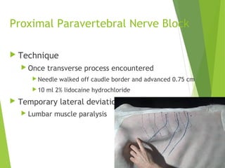 Transverse Blocking Abomasal displacements and volvulus | PPT