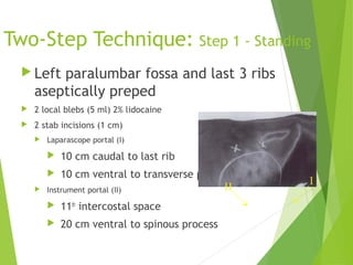 Two-Step Technique: Step 1 - Standing
 Left paralumbar fossa and last 3 ribs
aseptically preped
 2 local blebs (5 ml) 2% lidocaine
 2 stab incisions (1 cm)
 Laparascope portal (I)
 10 cm caudal to last rib
 10 cm ventral to transverse process
 Instrument portal (II)
 11th
intercostal space
 20 cm ventral to spinous process
II
I
 
