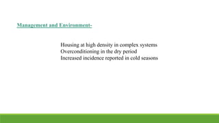 Management and Environment-
Housing at high density in complex systems
Overconditioning in the dry period
Increased incidence reported in cold seasons
 