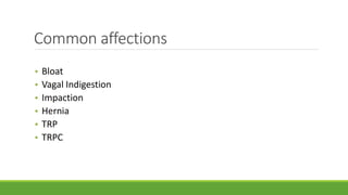 Common affections
• Bloat
• Vagal Indigestion
• Impaction
• Hernia
• TRP
• TRPC
 
