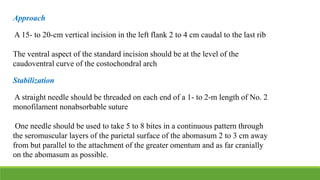 Approach
A 15- to 20-cm vertical incision in the left flank 2 to 4 cm caudal to the last rib
The ventral aspect of the standard incision should be at the level of the
caudoventral curve of the costochondral arch
Stabilization
A straight needle should be threaded on each end of a 1- to 2-m length of No. 2
monofilament nonabsorbable suture
One needle should be used to take 5 to 8 bites in a continuous pattern through
the seromuscular layers of the parietal surface of the abomasum 2 to 3 cm away
from but parallel to the attachment of the greater omentum and as far cranially
on the abomasum as possible.
 