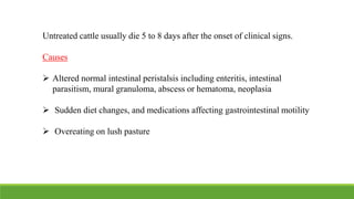 Untreated cattle usually die 5 to 8 days after the onset of clinical signs.
Causes
 Altered normal intestinal peristalsis including enteritis, intestinal
parasitism, mural granuloma, abscess or hematoma, neoplasia
 Sudden diet changes, and medications affecting gastrointestinal motility
 Overeating on lush pasture
 