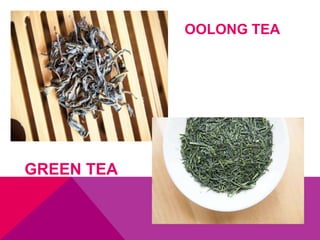 OOLONG TEA
GREEN TEA
 