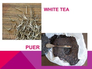 WHITE TEA
PUER
 