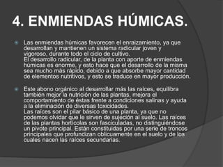 4. ENMIENDAS HÚMICAS.
   Las enmiendas húmicas favorecen el enraizamiento, ya que
    desarrollan y mantienen un sistema radicular joven y
    vigoroso, durante todo el ciclo de cultivo.
    El desarrollo radicular, de la planta con aporte de enmiendas
    húmicas es enorme, y esto hace que el desarrollo de la misma
    sea mucho más rápido, debido a que absorbe mayor cantidad
    de elementos nutritivos, y esto se traduce en mayor producción.

   Este abono orgánico al desarrollar más las raíces, equilibra
    también mejor la nutrición de las plantas, mejora el
    comportamiento de éstas frente a condiciones salinas y ayuda
    a la eliminación de diversas toxicidades.
    Las raíces son el pilar básico de una planta, ya que no
    podemos olvidar que le sirven de sujeción al suelo. Las raíces
    de las plantas hortícolas son fasciculadas, no distinguiéndose
    un pivote principal. Están constituidas por una serie de troncos
    principales que profundizan oblicuamente en el suelo y de los
    cuales nacen las raíces secundarias.
 