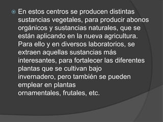    En estos centros se producen distintas
    sustancias vegetales, para producir abonos
    orgánicos y sustancias naturales, que se
    están aplicando en la nueva agricultura.
    Para ello y en diversos laboratorios, se
    extraen aquellas sustancias más
    interesantes, para fortalecer las diferentes
    plantas que se cultivan bajo
    invernadero, pero también se pueden
    emplear en plantas
    ornamentales, frutales, etc.
 