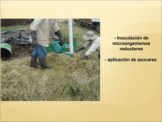 - Inoculación de
   microorganismos
       reductores

- aplicación de azucares
 