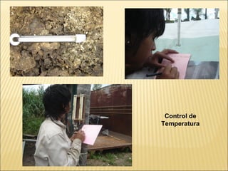 Control de
Temperatura
 