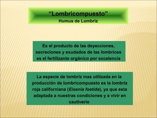 “Lombricompuesto”
             Humus de Lombriz




    Es el producto de las deyecciones,
 secreciones y exudados de las lombrices
 es el fertilizante orgánico por excelencia.



  La especie de lombriz mas utilizada en la
producción de lombricompuesto es la lombriz
roja californiana (Eisenia foetida), ya que esta
 adaptada a nuestras condiciones y a vivir en
                   cautiverio
 