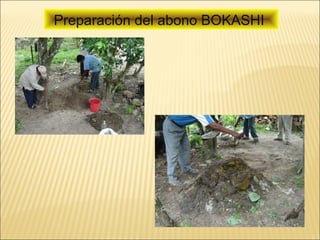 Preparación del abono BOKASHI
 