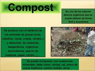 Compost                                       Es uno de los mejores
                                                abonos orgánicos que se
                                                 puede obtener de forma
                                                    fácil y económica


 Se produce con el estiércol de
  los animales de granja (aves,
caballos, vacas, ovejas, cerdos,,)
   y desechos de cosechas,
    desperdicios orgánicos
    domiciliarios, aserrín de
  maderas, papel, cartón,,,,,,.

                   Se puede enriquecer con sustancias
                minerales, tales como: ceniza, cal, polvo de
                rosca fosfórica, carbón molido, otros
 