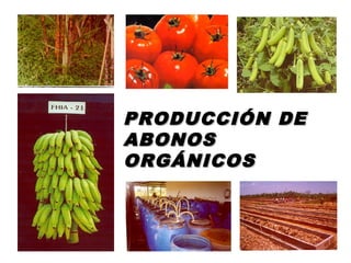 PRODUCCIÓN DE
ABONOS
ORGÁNICOS
 