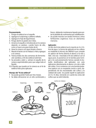 Procesamiento
1. Ponga el estiércol en el saquillo.
2. Agregue el sulpomag o plátano rallado.
3. Agregue la hoja de leguminosa.
4. Ponga dentro la piedra de 5 kilos.
5. Amarre el saquillo e introdúzcalo en la caneca
dejando un pedazo. cuerda fuera de ella,
como si fuera una gran bolsa de té.
6. Llene la caneca con agua limpia y fresca.
7. Mezcle la leche con la melaza o miel y agregue
a la caneca.
8. Transcurridas las dos semanas de fermenta-
ción aeróbica, el té de estiércol está listo.
9. Se procede a abrir y extraer el saquillo de la
caneca exprimiéndolo para que salga todo el
líquido.
10. El líquido que queda en la caneca es el té de
estiércol listo para aplicarse.
Manejo del “té de estiércol”
• Se puede guardar hasta por tres meses.
• Se debe almacenar en un sitio sombreado y
fresco, debiendo mantenerse tapado para evi-
tar la pérdida de nutrimentos por volatilización.
• Se puede mezclar con ácidos húmicos y otros
fertilizantes orgánicos ricos en elementos
menores.
Aplicación
Un litro de té de estiércol se lo mezcla en 4 a 5 li-
tros de agua. La forma de aplicarlo en los cultivos
es mediante la técnica de DRENCH que consiste
en aplicar de forma directa el abono a la raíz y
tallo. Una vez mezclado el té de estiércol con el
agua pura, le ponemos en la bomba para fumi-
gar a la cual previamente hemos sacado la bo-
quilla dosificadora del aplicador con esto
aplicamos directamente el abono a la raíz y tallo
del cultivo. Si no contamos con una bomba pode-
mos aplicar con un recipiente común o jarra, de-
pendiendo de las necesidades del cultivo y la
calidad del suelo. Se puede repetir la aplicación
en 8 o 15 días, tomando en cuenta los ciclos del
cultivo que se está tratando.
Abonos orgánicos, protegen el suelo y garantizan alimentación sana
20
Estiércol
Sulpomag Leguminosas
Piedra
Leche con melaza
 