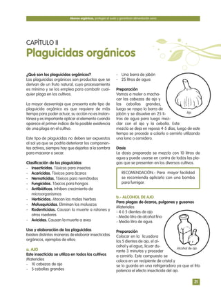 ¿Qué son los plaguicidas orgánicos?
Los plaguicidas orgánicos son productos que se
derivan de un fruto natural, cuyo procesamiento
es mínimo y se los emplea para combatir cual-
quier plaga en los cultivos.
La mayor desventaja que presenta este tipo de
plaguicida orgánico es que requiere de más
tiempo para poder actuar, su acción no es instan-
tánea y es importante aplicar el elemento cuando
aparece el primer indicio de la posible existencia
de una plaga en el cultivo.
Este tipo de plaguicidas no deben ser expuestos
al sol ya que se podría deteriorar los componen-
tes activos, siempre hay que dejarlos a la sombra
para macerar o secar.
Clasificación de los plaguicidas
- Insecticidas. Tóxicos para insectos
- Acaricidas. Tóxicos para ácaros
- Nematicidas. Tóxicos para nemátodos
- Fungicidas. Tóxicos para hongos
- Antibióticos. Inhiben crecimiento de
microorganismos
- Herbicidas. Atacan las malas hierbas
- Molusquicidas. Eliminan los moluscos
- Rodenticidas. Causan la muerte a ratones y
otros roedores
- Avicidas. Causan la muerte a aves
Uso y elaboración de los plaguicidas
Existen distintas maneras de elaborar insecticidas
orgánicos, ejemplos de ellos:
a. AJO
Este insecticida se utiliza en todos los cultivos
Materiales
- 10 cabezas de ajo
- 5 cebollas grandes
- Una barra de jabón
- 25 litros de agua
Preparación
Vamos a moler o macha-
car las cabezas de ajo y
las cebollas grandes,
luego se raspa la barra de
jabón y se disuelve en 25 li-
tros de agua para luego mez-
clar con el ajo y la cebolla. Esta
mezcla se deja en reposo 4-5 días, luego de este
tiempo se procede a colarlo o cernirlo utilizando
una lona o cernidero.
Dosis
La dosis preparada se mezcla con 10 litros de
agua y puede usarse en contra de todas las pla-
gas que se presenten en los diversos cultivos.
RECOMENDACIÓN.- Para mayor facilidad
se recomienda aplicarlo con una bomba
para fumigar.
b.- ALCOHOL DE AJO
Para plagas de ácaros, pulgones y gusanos
Materiales
- 4 ó 5 dientes de ajo
- Medio litro de alcohol fino
- Medio litro de agua.
Preparación
Colocar en la licuadora
los 5 dientes de ajo, el al-
cohol y el agua, licuar du-
rante 3 minutos y proceder
a cernirlo. Este compuesto se
coloca en un recipiente de cristal y
se lo guarda en una refrigeradora ya que el frío
potencia el efecto insecticida del ajo.
Abonos orgánicos, protegen el suelo y garantizan alimentación sana
21
CAPÍTULO II
Plaguicidas orgánicos
Ajo
Alcohol de ajo
 