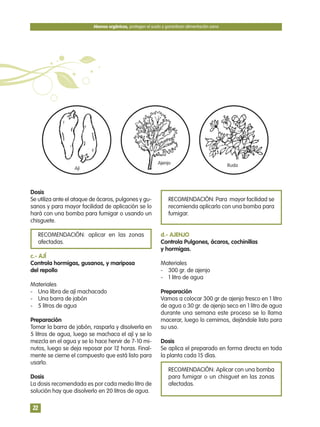 Dosis
Se utiliza ante el ataque de ácaros, pulgones y gu-
sanos y para mayor facilidad de aplicación se lo
hará con una bomba para fumigar o usando un
chisguete.
RECOMENDACIÓN: aplicar en las zonas
afectadas.
c.- AJÍ
Controla hormigas, gusanos, y mariposa
del repollo
Materiales
- Una libra de ají machacado
- Una barra de jabón
- 5 litros de agua
Preparación
Tomar la barra de jabón, rasparla y disolverla en
5 litros de agua, luego se machaca el ají y se lo
mezcla en el agua y se lo hace hervir de 7-10 mi-
nutos, luego se deja reposar por 12 horas. Final-
mente se cierne el compuesto que está listo para
usarlo.
Dosis
La dosis recomendada es por cada medio litro de
solución hay que disolverlo en 20 litros de agua.
RECOMENDACIÓN: Para mayor facilidad se
recomienda aplicarlo con una bomba para
fumigar.
d.- AJENJO
Controla Pulgones, ácaros, cochinillas
y hormigas.
Materiales
- 300 gr. de ajenjo
- 1 litro de agua
Preparación
Vamos a colocar 300 gr de ajenjo fresco en 1 litro
de agua o 30 gr. de ajenjo seco en 1 litro de agua
durante una semana este proceso se lo llama
macerar, luego lo cernimos, dejándole listo para
su uso.
Dosis
Se aplica el preparado en forma directa en toda
la planta cada 15 días.
RECOMENDACIÓN: Aplicar con una bomba
para fumigar o un chisguet en las zonas
afectadas.
Abonos orgánicos, protegen el suelo y garantizan alimentación sana
22
Ají
Ajenjo Ruda
 