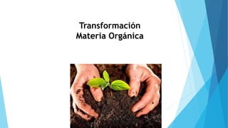Transformación
Materia Orgánica
 