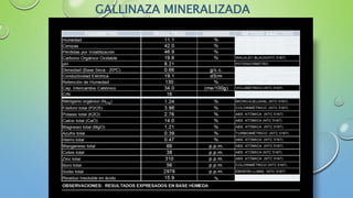GALLINAZA MINERALIZADA
 