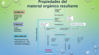 BIOLOGICAS
CO2
 NH3

NH4
+ NO3
-
H2PO4
-
SO4
=
Compuestos
minerales
solubles
HUMUS
Acidos Húmicos
Acidos Fúlvicos
Plantas Vivas
Exudados
Animales
Descomposición
Compuestos Orgánicos y
minerales solubles
Biodegradación
Compuestos Orgánicos
insolubles
Oxidación Primaria
Compuestos
Orgánicos
sencillos
ResiduosInalterados
Residuos de:
Plantas
Animales
Microorganismos
Oxidación
secundaria
Polimerización
Reorganización
Lignina, Celulosa,
Hemicelulosa,
Polisacáridos
Acido cítrico, Acido tartárico,
Carbohidratos, Sales minerales
QUIMICAS
Nutricional
Protección
Buffer
CIC
FISICAS
Color
Cohesión
Estructura
Producción de CO2
Intercambio O2 - CO2
Actividad Fisiológica
Mecánica
Física
Química
Biológica
Propiedades del
material orgánico resultante
 