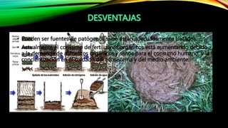 • Pueden ser fuentes de patógenos si no están adecuadamente tratados. 
• Actualmente el consumo de fertilizante orgánicos está aumentando debido 
a la demanda de alimentos orgánicos y sanos para el consumo humano, y la 
concientización en el cuidado del ecosistema y del medio ambiente. 
 