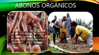 ABONOS ORGÁNICOS 
Es un fertilizante que proviene de 
animales, humanos, restos 
vegetales de alimentos, restos de 
cultivos de hongos comestibles u 
otra fuente orgánica y natural. 
 