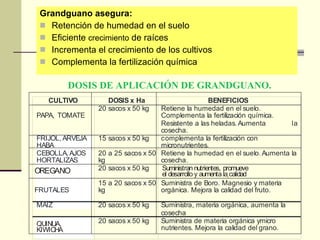 DOSIS DE APLICACIÓN DE GRANDGUANO. Grandguano asegura: Retención de humedad en el suelo Eficiente  crecimiento  de raíces Incrementa el crecimiento de los cultivos  Complementa la fertilización química 