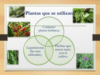 Plantas que se utilizan
Cualquier
planta herbácea
Hierbas que
nacen junto
con el
cultivo
Leguminosas
(las mas
utilizadas).
 
