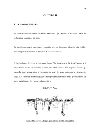 46
CAPITULO III
3. LA LOMBRICULTURA.
Se trata de una interesante actividad zootécnica, que permite perfeccionar todos los
sistemas de producción agrícola.
La lombricultura es un negocio en expansión, y en un futuro será el medio más rápido y
eficiente para la recuperación de suelos de las zonas rurales.
A las lombrices de tierra se les puede llamar "los intestinos de la tierra" porque al ir
cavando sus túneles se "comen" la tierra para abrir camino. Los pequeños túneles que
cavan las lombrices permiten la circulación del aire y del agua, mejorando la estructura del
suelo. Las lombrices también ayudan a transportar los nutrientes de las profundidades del
suelo hacia la tierra del cultivo en la superficie.
GRÁFICO No. 4
Fuente: http://www.infoagro.com/abonos/lombricultura2.htm
 