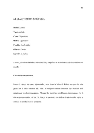 48
3.2. CLASIFICACIÓN ZOOLÓGICA.
Reino: Animal
Tipo: Anélido
Clase: Oligoqueto
Orden: Opistoporo
Familia: Lombricidae
Género: Eisenia
Especie: E. foetida
Eisenia foetida es la lombriz más conocida y empleada en más del 80% de los criaderos del
mundo.
Características externas.
Posee el cuerpo alargado, segmentado y con simetría bilateral. Existe una porción más
gruesa en el tercio anterior de 5 mm. de longitud llamada clitelium cuya función está
relacionada con la reproducción. Al nacer las lombrices son blancas, transcurridos 5 o 6
días se ponen rosadas y a los 120 días ya se parecen a las adultas siendo de color rojizo y
estando en condiciones de aparearse.
 
